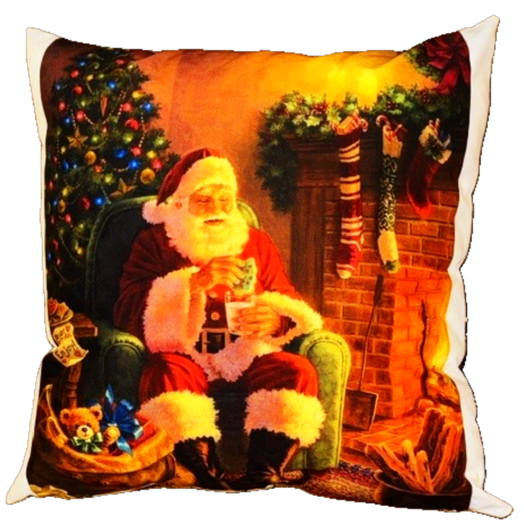 Holiday Decorative Pillow 6