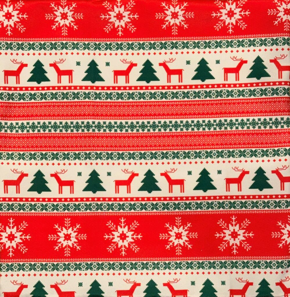Holiday Decorative Pillow 10