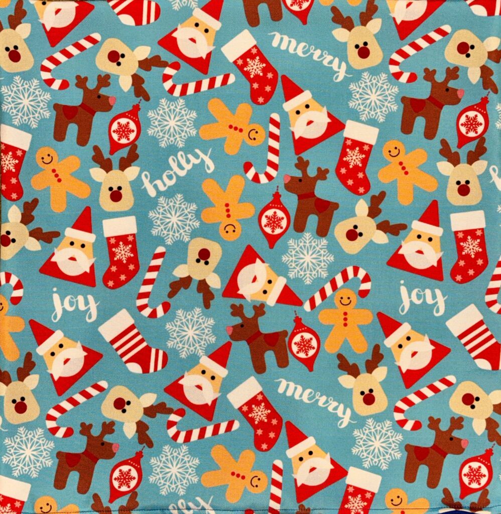 Holiday Decorative Pillow 9